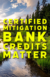 certified bank credits