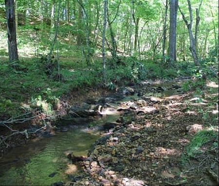 Tye River Site Conditions